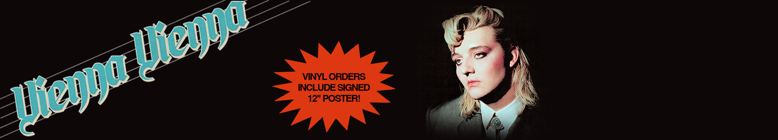 Vienna Vienna Album Banner